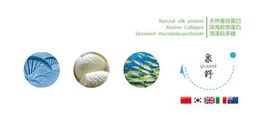 專業廣告設計代理代辦，助力品牌高效傳播